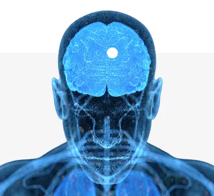 human brain denoting brain lesion with white circle